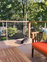 Our dog enjoying the newly build ipe deck with cable rail. 