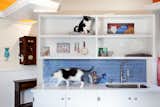The Cats' Kitchen at Ladew Cat Sanctuary