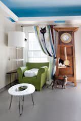 The Cats' Living Room at Ladew Cat Sanctuary