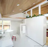 Open shower with vaulted wood ceiling borrows light from the bedroom beyond. Plants above a hidden linen closet help absorb humidity from the shower. Sloped bathroom floor to a linear drain allows the entire bathroom to be washed down.