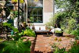 Back garden
