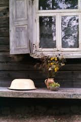 Hazelnuts and wild flowers
