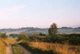 Morning stroll