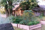 Vegetable beds
