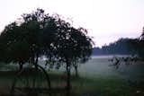 Morning Fog