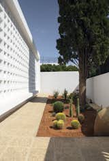 Outdoor, Trees, Front Yard, Gardens, Large Patio, Porch, Deck, and Concrete Fences, Wall view of the floating parallelepiped extension  Photo 4 of 13 in dar BIBI by Hassene Jeljeli