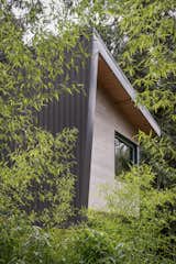 Exterior, Metal Siding Material, and Wood Siding Material Hanging in the trees  Photo 12 of 12 in Tuwanek Forest Retreat by Sharif Senbel