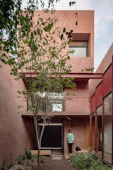 Outdoor, Trees, Garden, Concrete Fences, Wall, and Walkways  Photo 6 of 17 in Ederlezi by David Martínez