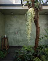 Bath room in Villa Asana which has an already existing tree in the courtyard, this tree decided the positioning of the entire house. 