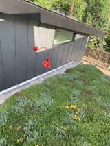 Green roof detail