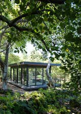 An Off-Grid Cabin Wrapped in Glass Hunkers in a Hawaiian Forest - Photo 15 of 23 - 