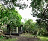 Exterior, House Building Type, Flat RoofLine, Wood Siding Material, Glass Siding Material, Metal Roof Material, Metal Siding Material, and Cabin Building Type  Photo 14 of 23 in An Off-Grid Cabin Wrapped in Glass Hunkers in a Hawaiian Forest from Glass House