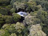 An Off-Grid Cabin Wrapped in Glass Hunkers in a Hawaiian Forest - Photo 21 of 23 - 