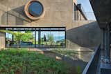 This triangular courtyard is the centre of the house and manages to connect every space and keep the scale intimate. The circular reading window on the higher level is a secluded reading corner keeping the user visually connected yet hidden away within the thickness of the wall. 
