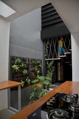 part of stairs and kitchen with food and herbal planters, semi outdoor 
