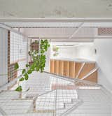 Staircase  Photo 9 of 22 in 100JOA - Row house in Mataró by Vallribera Arquitectes