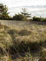 Fence on Dune