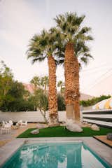 Enjoy Golden Hour by the pool and gaze on our trio of mature palm trees.