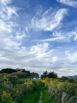 The Ocean Parkway House has an unparalled location at the tip of Bolinas Bay.