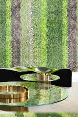 Furniture/ Live Planting Wall Detail