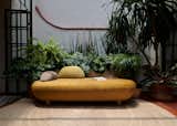 Waigeo Daybed
