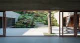 Outdoor, Trees, and Back Yard Interior Garden  Photo 3 of 12 in Casa Oeiras by OODA Architecture