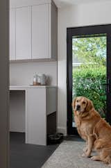 Dugs Special Room