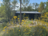 Exterior, Shed RoofLine, Cabin Building Type, and Wood Siding Material Front of cottage through the wildflowers  Photo 3 of 11 in Cypress Cottage by Paul Howard