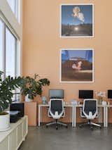 Oversized Bonobo artwork accessorize the main office area