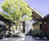 Outdoor, Hardscapes, Walkways, Garden, Boulders, Landscape Lighting, Trees, and Shrubs Courtyard showing direct-through entry to Living space.  Door on left leads to Family room. All new hardscape and landscape except for Japanese maple.    Photo 2 of 14 in Eichler Update by David Ludwig