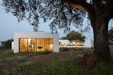 A Luminous Retreat in Portugal Is Attuned to the Surrounding Terrain - Photo 3 of 20 - 