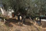 Exterior, House Building Type, and Stone Siding Material  Photo 12 of 49 in Meganisi House by Hiboux Architecture