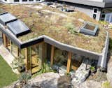 The entire design team worked with the clients and their children to populate the green roof with mosses and grasses harvested from nearby, which they planted with groupings of sedums and other native plants. 
