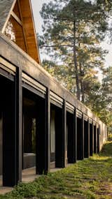 "Our main goal for this project was to persevere and embrace the surroundings," Pablo notes, "so we took advantage of the topography and located the private areas of the homes 'underneath' so they disappear."