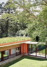 House Twidale by Gregory Katz Architecture courtyard and green roof