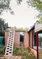 A custom, Japanese-inspired cast concrete ladder leads to the green roof, where native plants and grasses thrive in the Johannesburg heat. The powder-coated steel railing adds a touch of visual warmth.