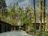 Nestled into the trees, the modern home blends with its surroundings, following the site’s contours as if it were another wild thing sprung from the ground. 