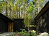 Divided into three volumes (plus a garage), the single-level residence incorporates steel and stained and natural cedar. The architectural lines were kept simple and paired with the palette they help the house blend almost seamlessly with the site. 