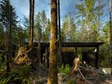 Forest Pavilion House by Signal Architecture + Research Outdoor