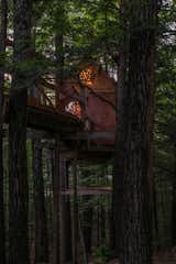 Outdoor  Photo 2 of 10 in Treehouse in New England by Stacie St. Jarre