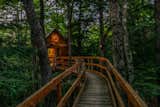 Outdoor  Photo 5 of 10 in Treehouse in New England by Stacie St. Jarre