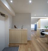 Dining Room, Shelves, Ceiling Lighting, and Light Hardwood Floor  Photo 2 of 20 in S Apartment 602 by HARUKI OKU DESIGN