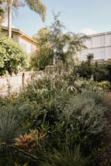 Carmen chose white-flowering plants for her low-maintenance garden.
