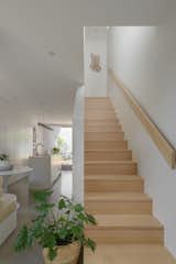 Staircase in Enzo House by Noho Architecture