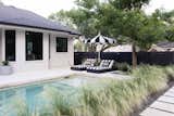 Plunge pool in Austin, TX surrounded by feathery, low-water grasses and contrasting pavers 