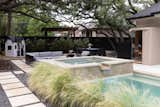 Plunge pool in Austin, TX surrounded by feathery, low-water grasses and contrasting pavers. Modern matching playhouse, dining area, firepit, hottub and sauna in the background. 
