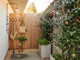 Side Yard, Shower Pools, Tubs, Shower, and Vertical Fences, Wall Organic style backyard designed by Yardzen  Photo 9 of 11 in Organic Style Backyard Built for Entertaining by Yardzen