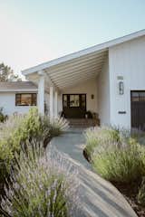 Outdoor, Flowers, Garden, Front Yard, and Walkways Low water lavender lines the walkway  Photo 6 of 9 in Burlingame Modern Farmhouse Rancher by Yardzen