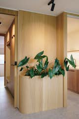 Built-in planter and a view of the kitchen and wardrobe.