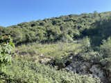 Outdoor, Grass, Shrubs, Field, and Trees  Photo 2 of 20 in Makura's farm olive press and coffee shop by Ofer Avshalom